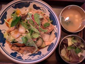 Tofu Wok at Reiskorn Parndorf in Burgenland