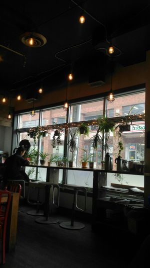 Plants at The Nook on Gottingen in Halifax