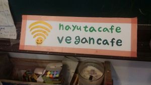 vegan cafe at Nayuta Cafe in Busan