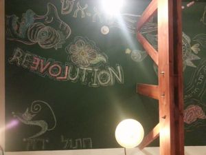 Ceiling at Hatool HaYarok - The Green Cat in Tel Aviv