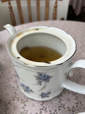 second tea  at Queens tea room in Noord-holland