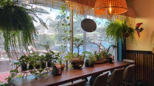 Interior plants at VeneBites in Tallahassee