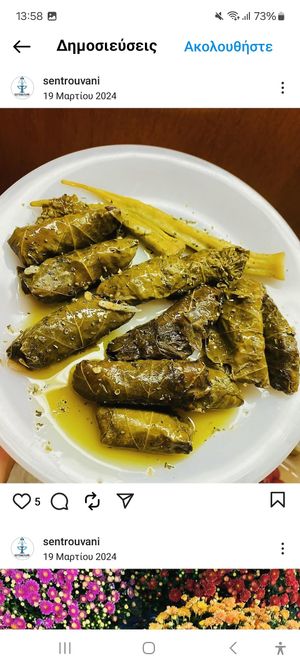 Homemade stuffed vine leaves with rice at Sentrouvani in Salakos