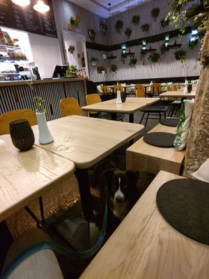 Interior at Mixto Verde Pizzeria Cafe in Bayern