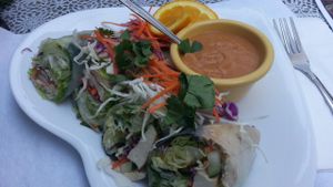 fresh rolls at Thai Vegan - Marina in Marina Del Rey