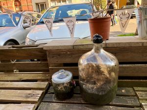 biospheres at Moehren Milieu Eco Cafe in Mainz