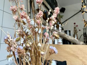 inside at Moehren Milieu Eco Cafe in Mainz