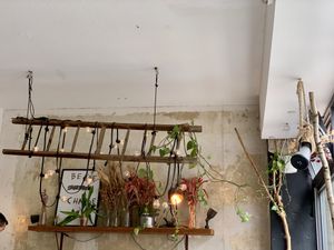 inside at Moehren Milieu Eco Cafe in Mainz