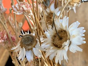 table at Moehren Milieu Eco Cafe in Mainz