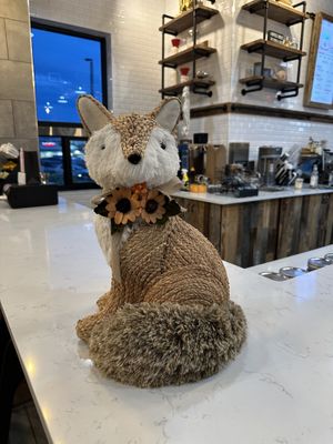   at foxtail coffee in Port Orange