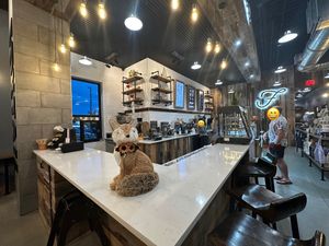   at foxtail coffee in Port Orange
