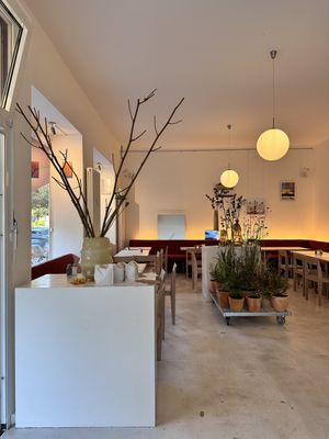   at Greentrees - Oberkassel in Dusseldorf