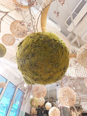 Interior at OVOCafe - Wan Chai Rd in Hong Kong Island