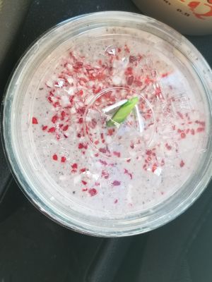 Oreo peppermint shake at Earth Burger - NW Loop in San Antonio