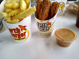 Vegan chicken fingers, agave mustard and fries at Earth Burger - NW Loop in San Antonio
