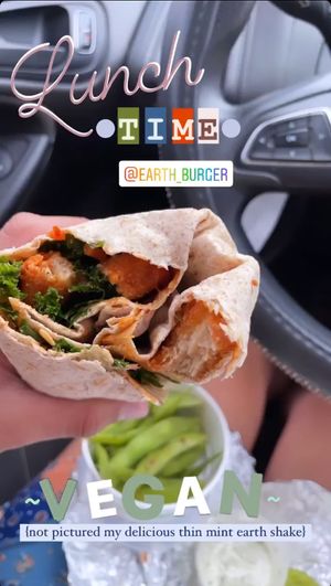 anything & everything from earth burger is my FAVV.   at Earth Burger - NW Loop in San Antonio