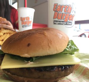 Good Burger Good Service   at Earth Burger - NW Loop in San Antonio