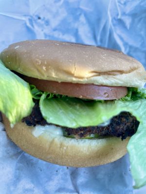 Quinoa burger   at Earth Burger - NW Loop in San Antonio