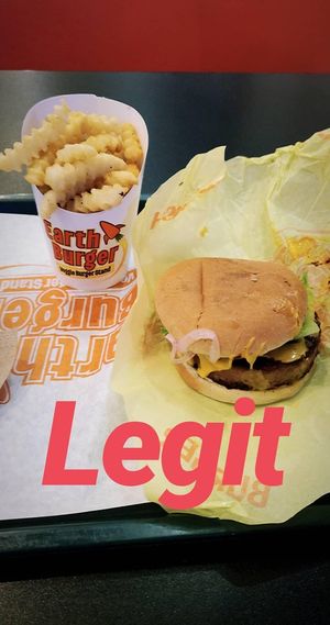 Earth Burger at Earth Burger - NW Loop in San Antonio