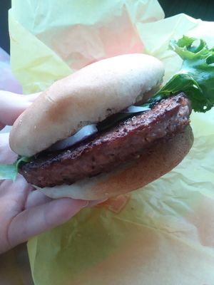 no vegan cheese sadly  at Earth Burger - NW Loop in San Antonio