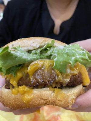 Earth burger  at Earth Burger - NW Loop in San Antonio