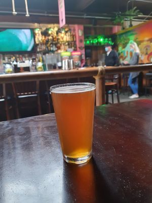 Vegan IPA at El Borracho - Ballard in Seattle