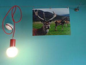 Interior at Krmelec Vrsky in Prague