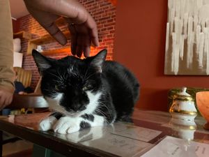 the boss at Cafe Schnurrke in Cologne