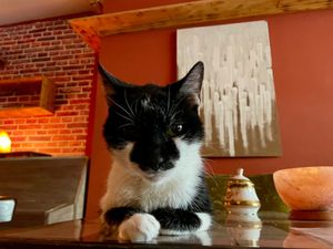 the boss cont. at Cafe Schnurrke in Cologne