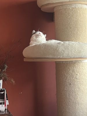   at Cafe Schnurrke in Cologne