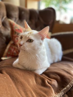   at Cafe Schnurrke in Cologne