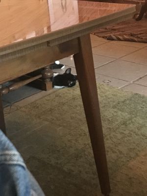   at Cafe Schnurrke in Cologne