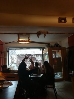 Catto at Cafe Schnurrke in Cologne