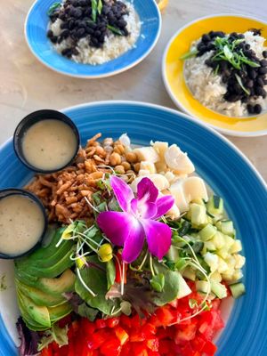 Sides of rice & beans - vegan at Guanabanas in Jupiter