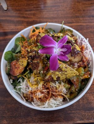 Fried chik'n and cucumber bibimbap at Seoul Food DC in Takoma Park