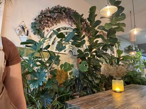 Interior plant wall   at Seoul Food DC in Takoma Park