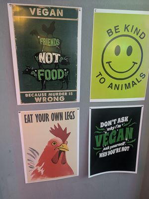  at Green Hamster Shop in Tbilisi