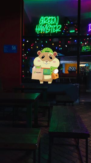  at Green Hamster Shop in Tbilisi