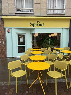   at Sprout in Exeter