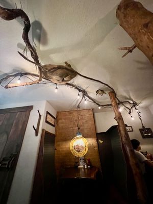 The decorations in this place were awesome, especially in their bathroom!  at North Country Brew Pub in Slippery Rock