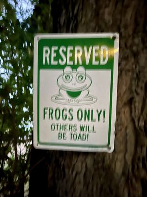 Fun signs like this everywhere and witchy vibes  at North Country Brew Pub in Slippery Rock