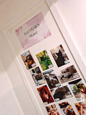 Animals selfies at MAGIC COFFEE SHOP in Nogent-sur-marne