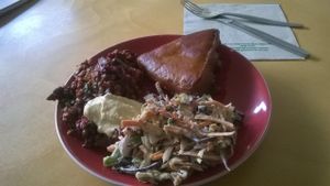 Samosa and salad at Wild Earth Organics Cafe and Store in Tauranga