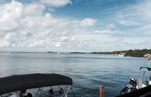 view from the patio at The Mindful Mermaid Cafe in Key Largo