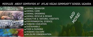 What we offer at our school at Atlas Vegan Community School in Buganda