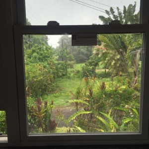 garden window seat at Kalaheo Cafe in Kalaheo