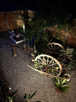   at The Little Vegan Homestay in Siem Reap