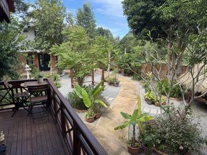   at The Little Vegan Homestay in Siem Reap