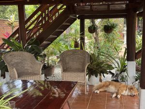   at The Little Vegan Homestay in Siem Reap