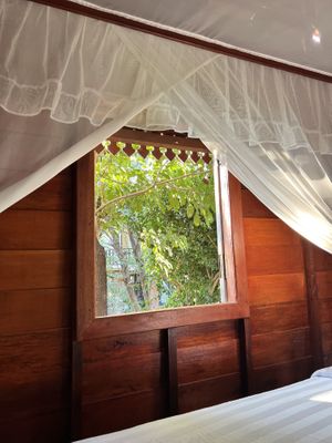   at The Little Vegan Homestay in Siem Reap